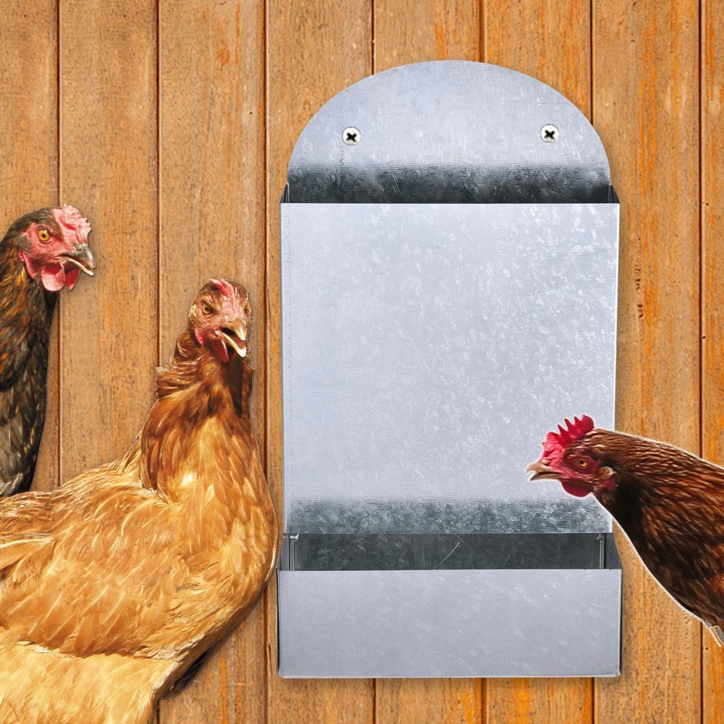 menolana Chicken Feeder Food Container Versatile Supplies Easy Installation Coop Dispenser Grit Feeder for Farm Animals Chook Hen Duck