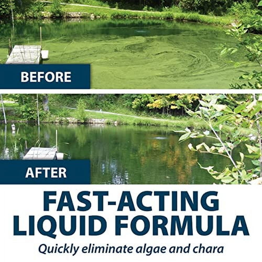 Algae Defense, EPA Registered Algaecide Pond & Lake Water Treatment, Floating Moss, Green Slime Scum & Chara Killer for Large Ponds & Lakes, Outdoor Liquid Spray Copper Based Solution, 1 Gallon