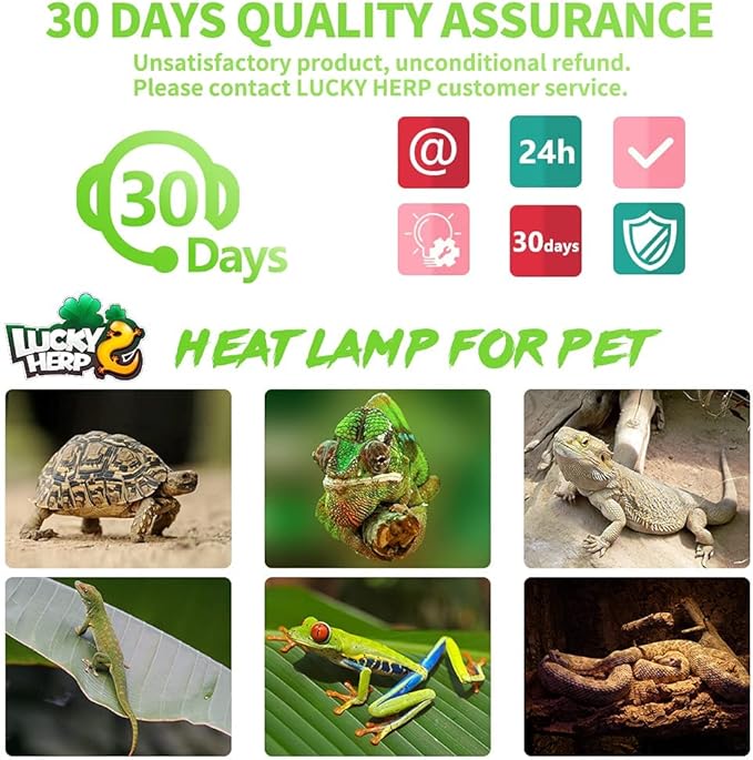 LUCKY HERP Heat Lamp Bulbs - 150W Reptile Heat Lamp 1 Pack, Daylight Basking Heat Lamp Bulbs for Reptile, UVA Heat Light Bulb for Reptiles, Amphibians, Bearded Dragons, Lizards, Turtles, Chickens