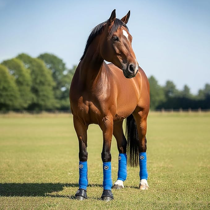 Horse Polo Leg Wraps, Fleece Wraps Elastic Bandages, Comfort Equestrian Standing Wraps, Set of 4, Boot Protection Stable Wraps Supplies (Full 10ft Black)