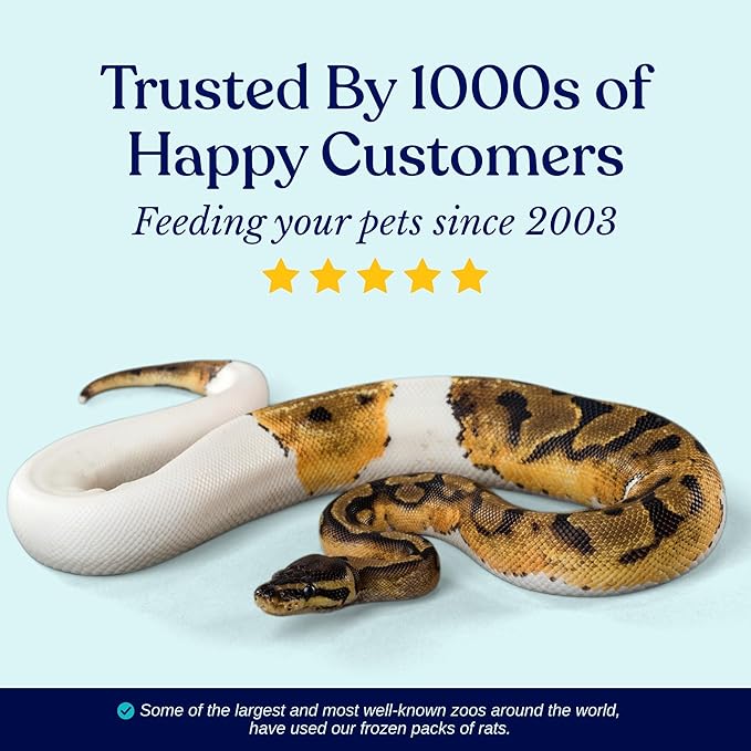 MiceDirect 75 Frozen Rat Fuzzies Feeders Snake Food for Adult Corn Snakes Ball Pythons (2-2.5 in)(75 Count)(675 Grams Min)