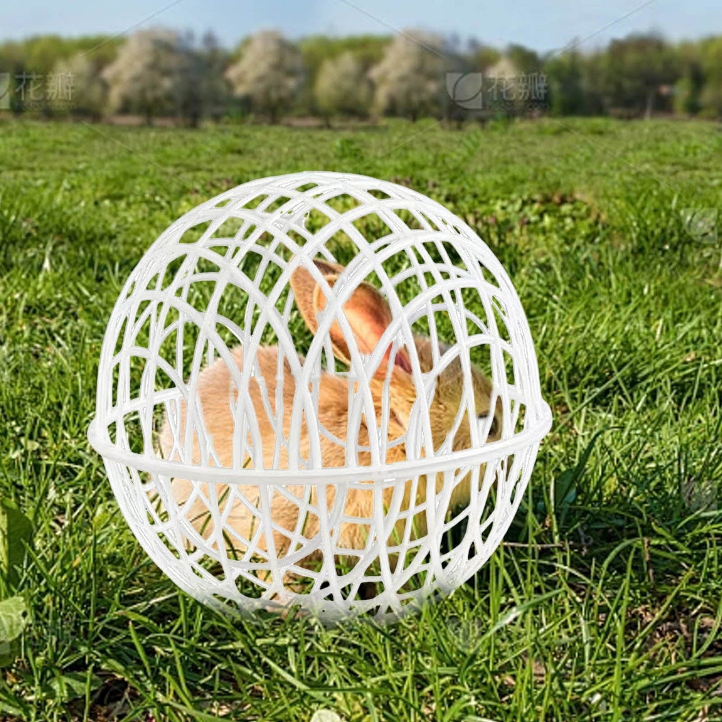 Ball-Shaped Movable Chicken Coop, Outdoor Rollable Round Chicken Cage, Pigeon Rabbits Safe Walking Net, Chicken Safety Ball Cage for Pet Safety Outdoor Farm Use