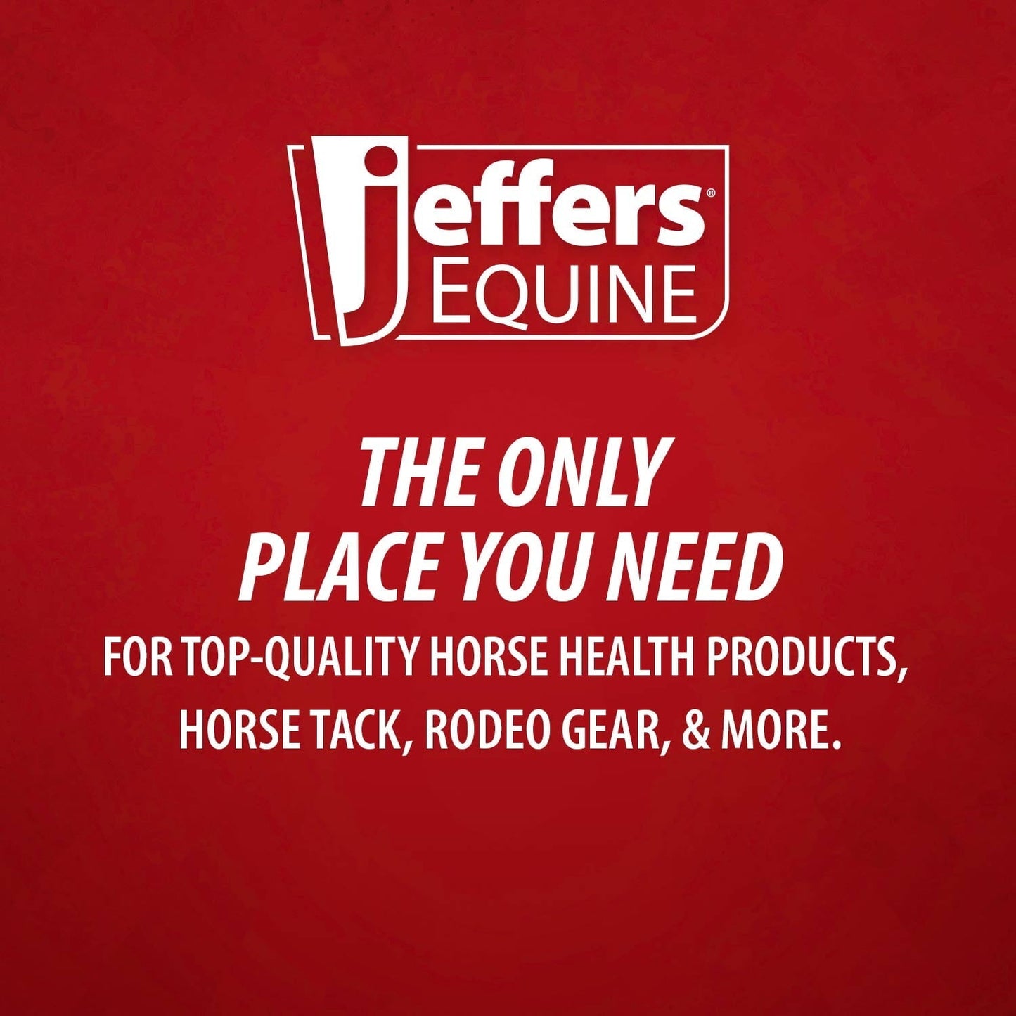 Jeffers Rubber Grooming Brush for Horses, Dogs & Cats, Removes Hair & Dirt, Easy Clean Tool - Light Blue