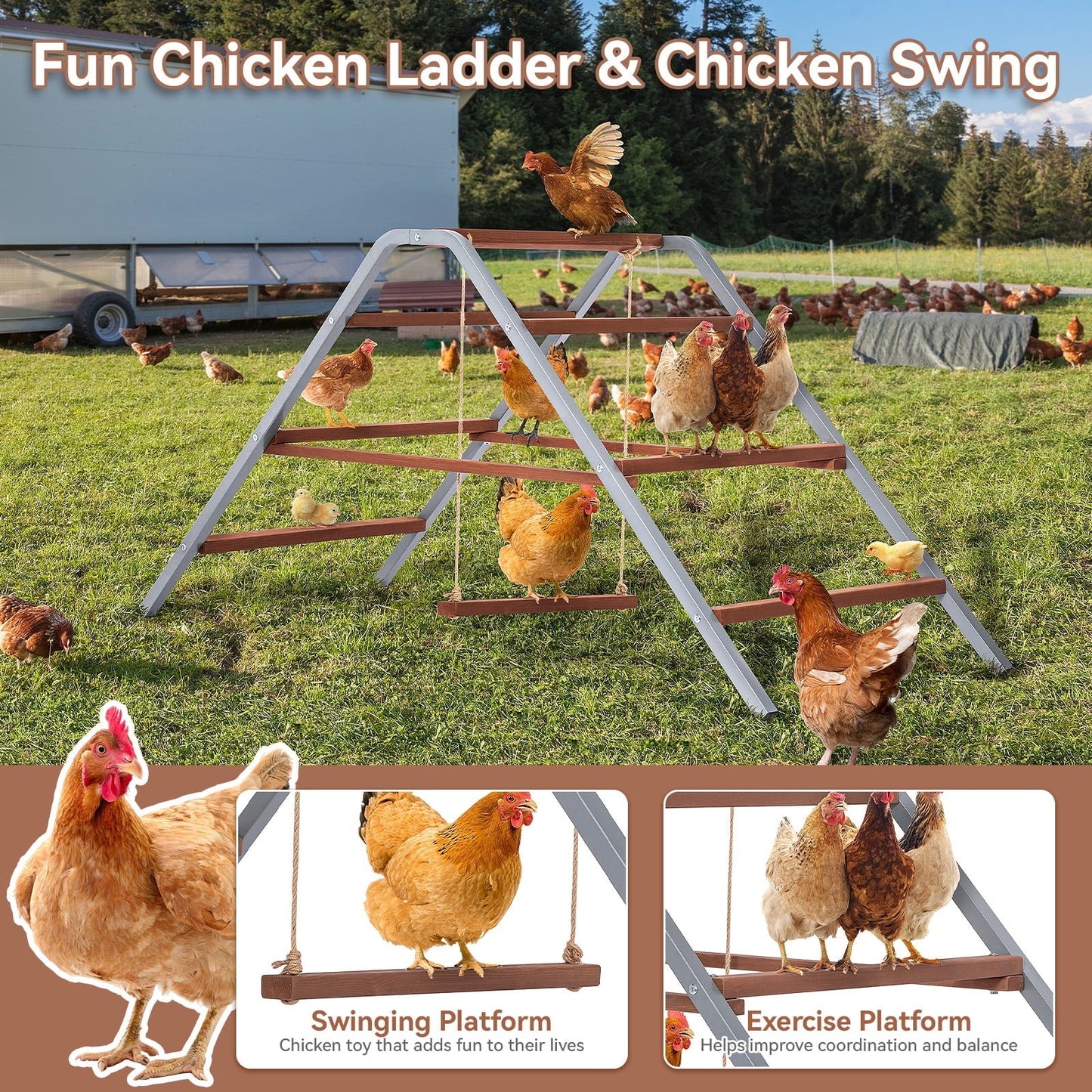 PETSFIT Chicken Roosting Bar,Solid Wood and Rustproof Iron Design, Chicken Perch with Swing for Healthy Poultry-Ideal for Backyard Coops, Farms, Easy to Assemble and Clean