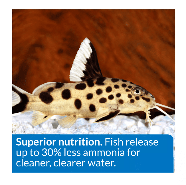 API® Bottom Feeder Premium Shrimp Pellets Fish Food, 1.5 Oz