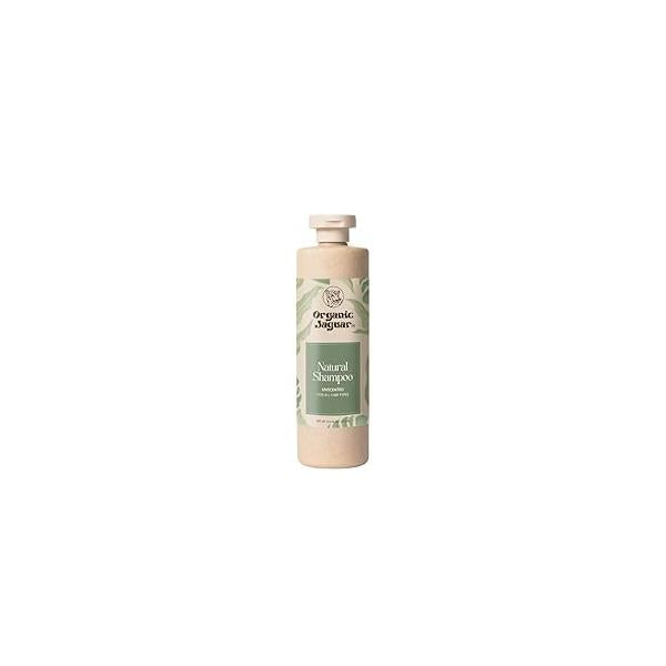 Natural Shampoo for Hair Care, Sulfate Free with Castor Oil, Honey, Biotin, Glycerin, Aloe Vera & Mild Thickening Agent, Unscented, Dry to Color Treated All Hair, 13.5 fl oz