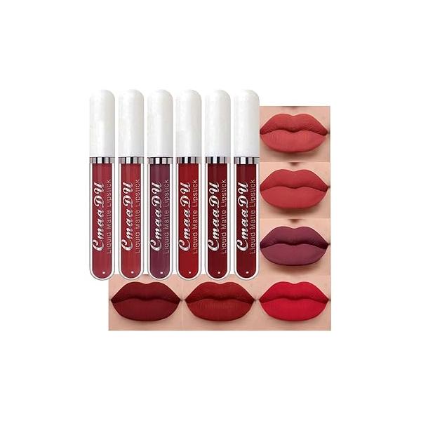 evpct 6Pcs Lipstick Matte Liquid Lipgloss Set for Women, Dark Deep Bright Ruby Sexy Brick Red Mauve labiales mate 24 horas originales matte larga duracion Hour Long Lasting