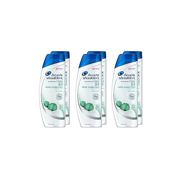Head and Shoulders Itchy Scalp Care with Eucalyptus 2-in-1 Anti-Dandruff Shampoo + Conditioner 8.45 Fl Oz