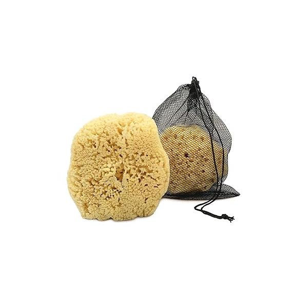 Real Sea Sponge for Men - Extra Large 6"-7", Totally Natural, Kind on Skin an Invigorating Shower, Supplied in Breathable Mesh Bag. Great The Gym, Grooming, Bath & Body Gift by Constantia Man