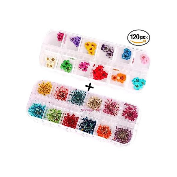 120 PCS/ 2Boxes Five Flower Three-Dimensional Applique 3D Nail Stickers Supplies Dried Flowers(Starry and Flower)