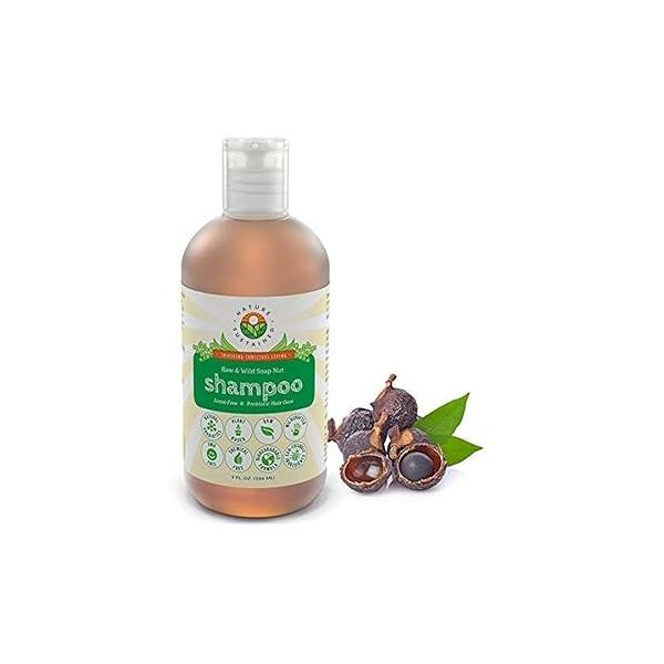 Natural Shampoo - Organic, Raw & Wildcrafted with Probiotics, Hypoallergenic Sulfate Free for Sensitive Scalp, Dry Hair, Dandruff, Eczema Psoriasis, 9oz, Original