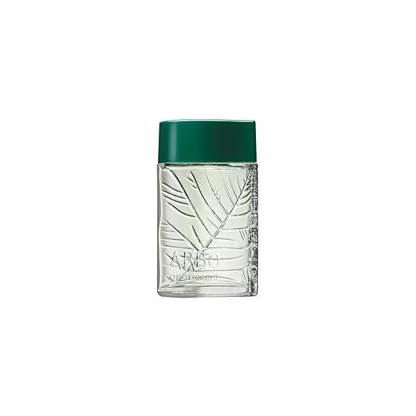 Arbo Eau de Toilette by O Boticario, Long Lasting Perfume For Men | Fresh Citrus & Green Men's Fragrance (3.2 fl oz)