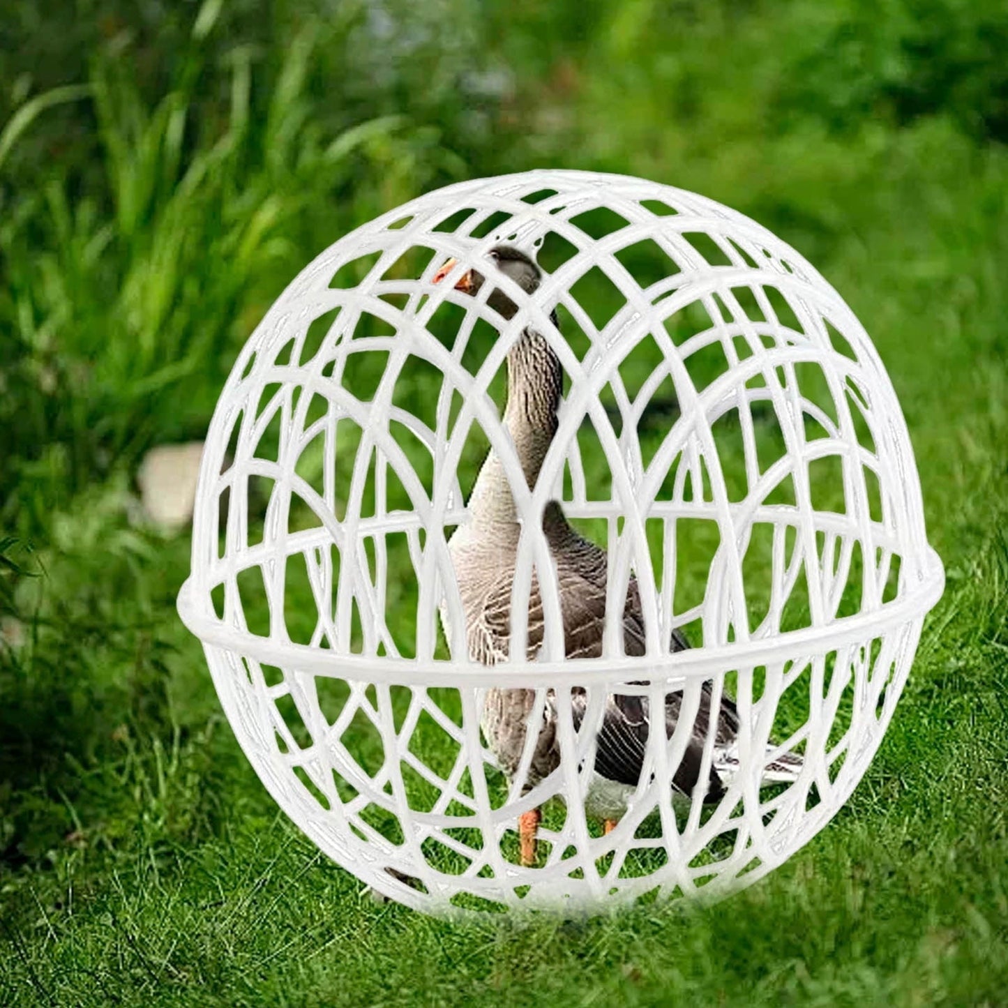 Ball-Shaped Movable Chicken Coop, Outdoor Rollable Round Chicken Cage, Pigeon Rabbits Duck Safe Walking Net, Chicken Safety Ball Cage for Pet Safety Outdoor Farm Use,7.87 in - 1PCS