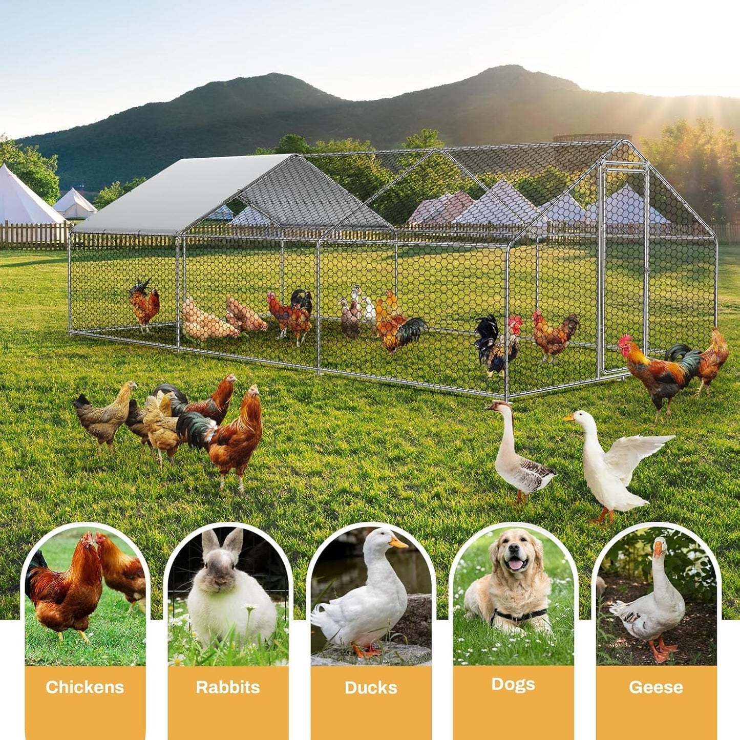 Large Metal Chicken Coop with Walk-in Run, Galvanized Wire Enclosure, and Waterproof UV Protection (10' L x 26' W x 6.56' H)
