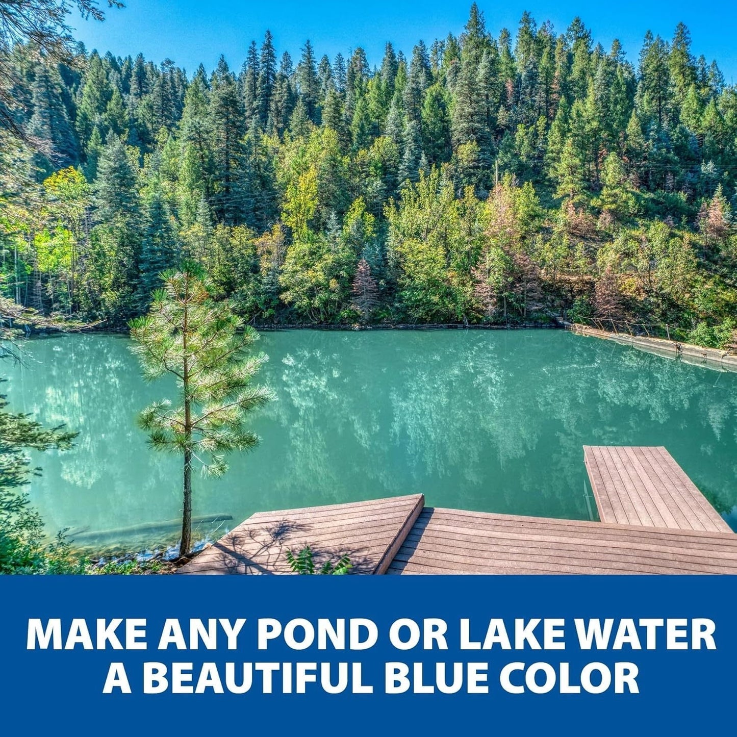 LXLP PondShade Concentrated True Blue Pond Dye, Easy to Apply Colorant for Beautiful Water, Safe for Fish, Pets, Livestock & Wildlife, 1 Gallon