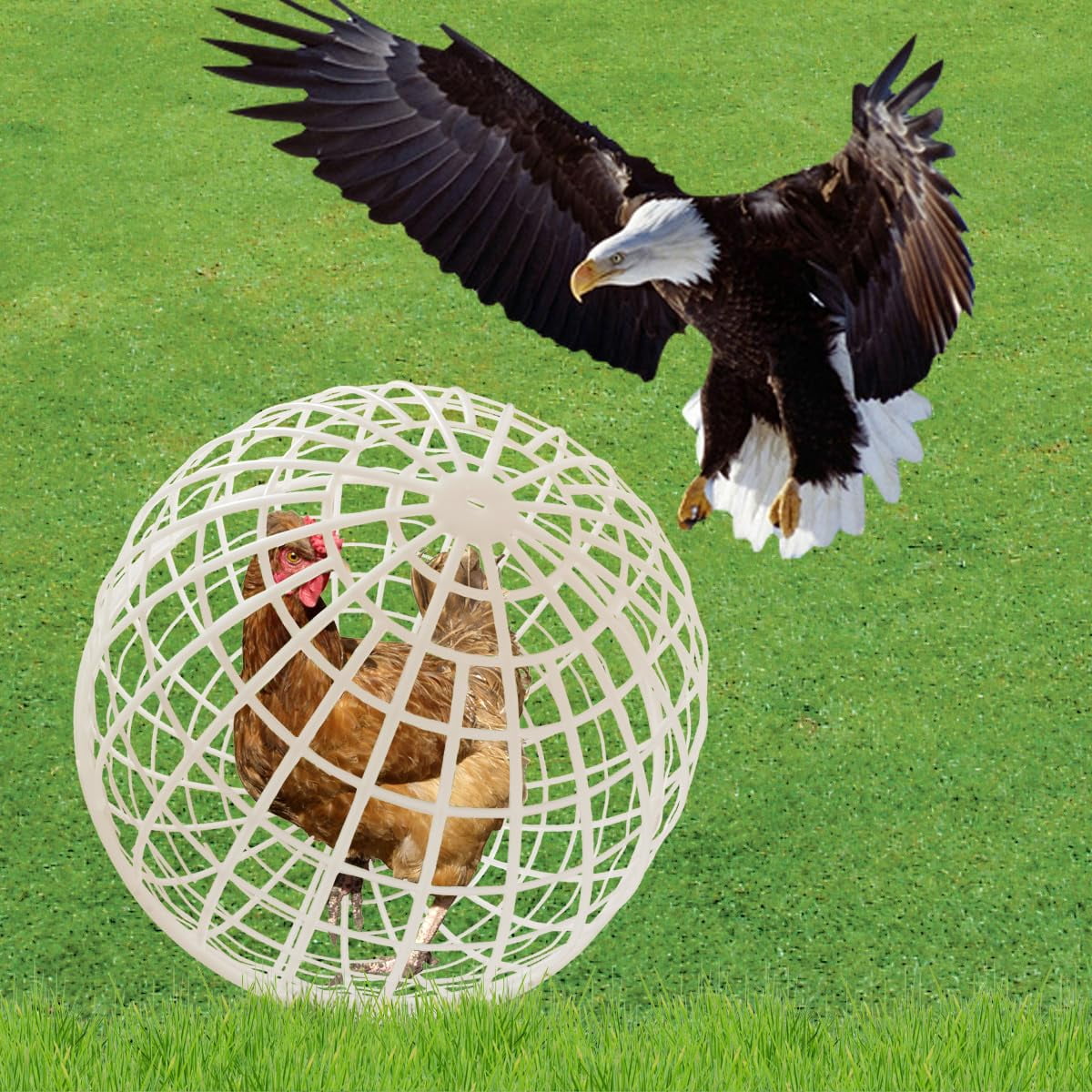 20CM Ball-Shaped Movable Chicken Coop, Outdoor Rollable Round Chicken Cage, Rabbits Ducks Safe Walking Cage, Chicks Ball Cage for Pet Outdoor Farm Use