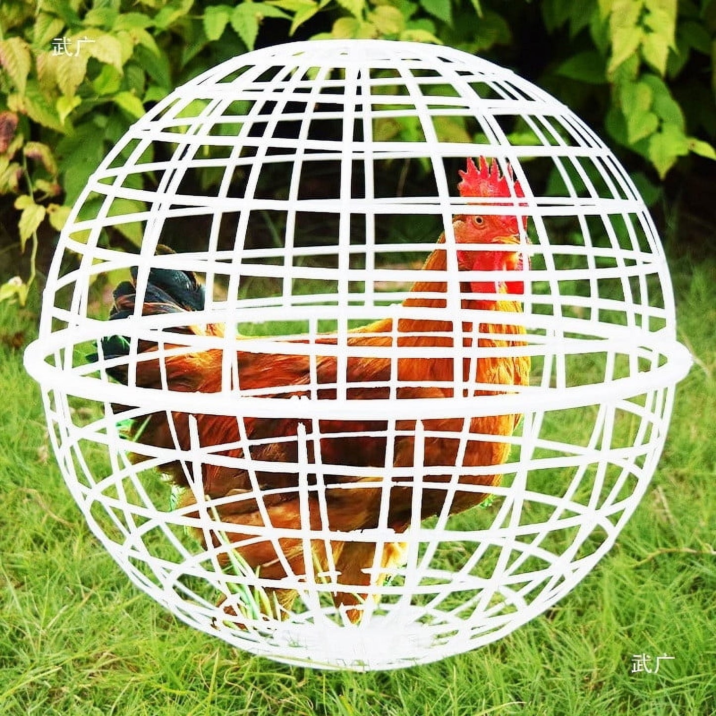 Free-Range Chicken Cage | Plastic Spherical Movable Coop for Chickens Rabbits | Rolling Round Enclosure | Spacious with Perches | Predator-Proof Mesh | Easy Clean | Outdoor Use | 1 Pack