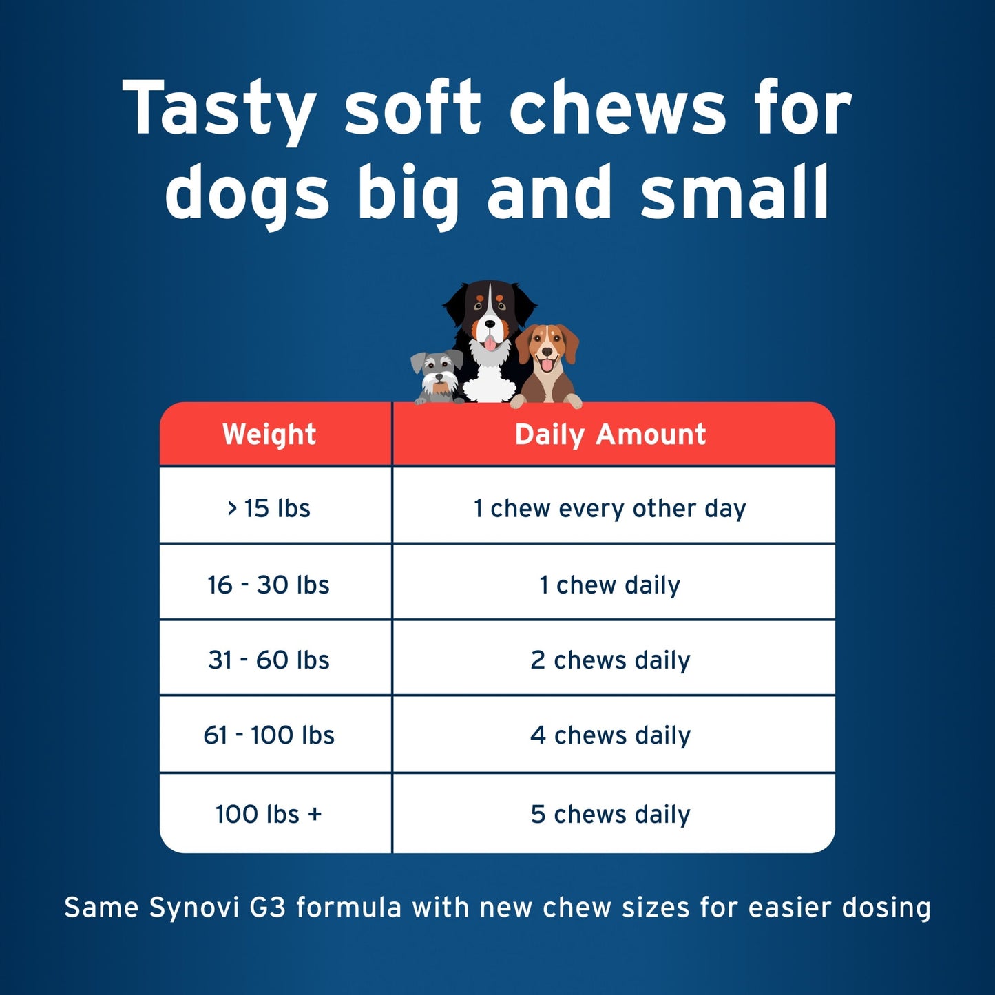 Pet Protect Vet-Formulated Hip & Joint Supplement for Dogs, 60 Chews for Joint Care
