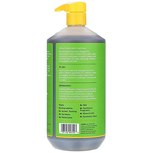 Alaffia EveryDay Coconut Shampoo - Normal to Dry Hair, Helps Gently Clean Scalp and Hair of Impurities with Ginger and Coconut Oil, Fair Trade, Purely Coconut 32 Fl Oz