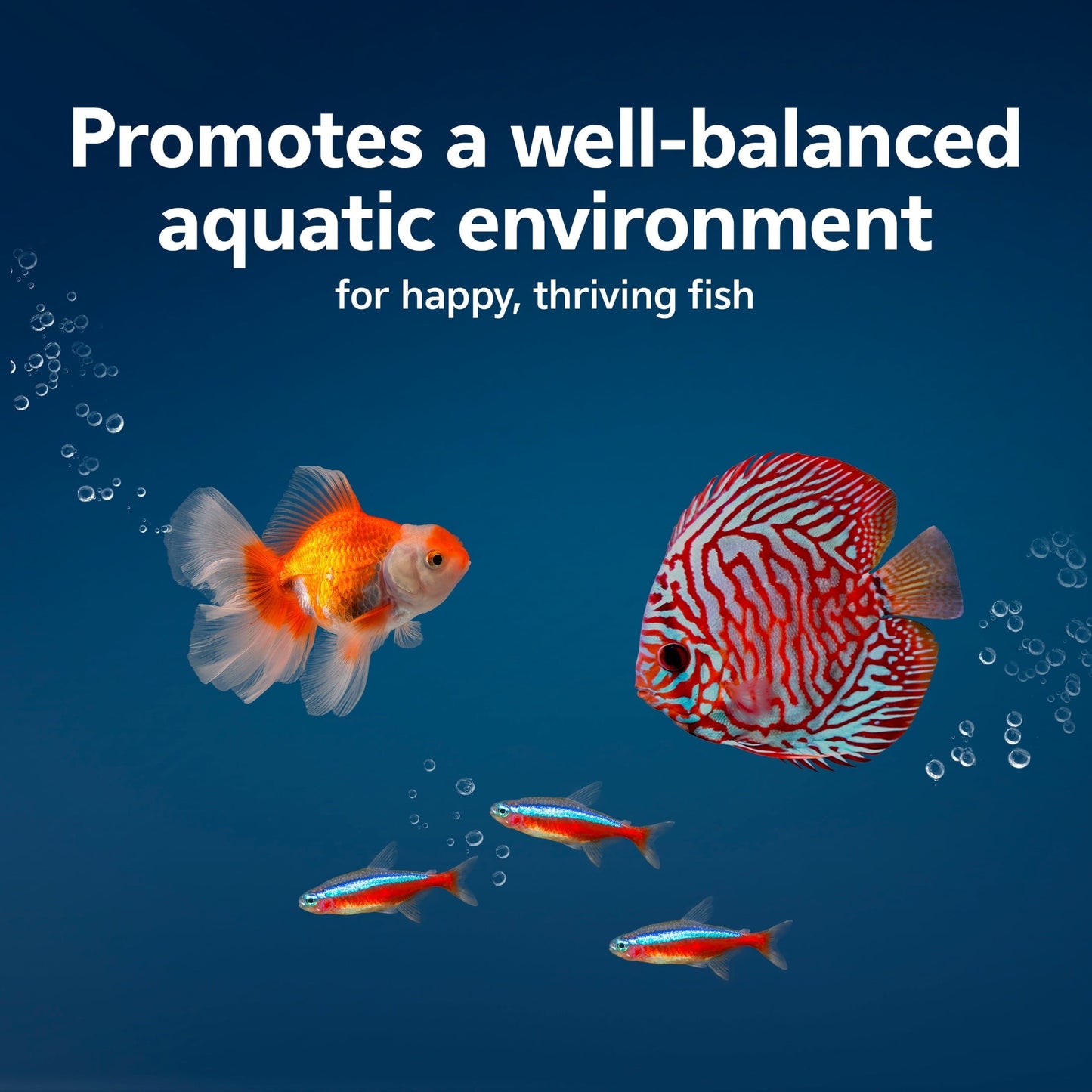 Aqueon AquaPacs Sludge Remover 4-Pack