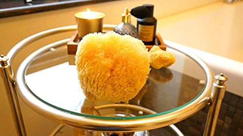 Sea Sponge for Bathing 5 inch-Softly Rough but Not Skin Irritating – Yellow, Natural Bath Sponge-Renewable Resource – Natural Sponge for Body and Shower-Lathers & Washes Really Well