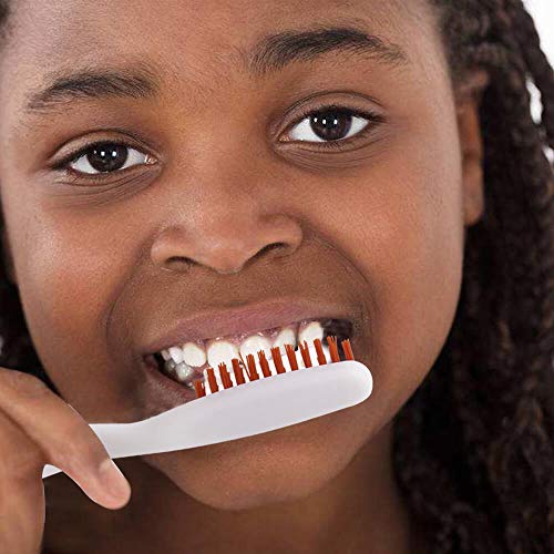 DR PERFECT Extra Hard Toothbrushes Firm Toothbrush for Smoker's Teeth Whitening Pack of 12