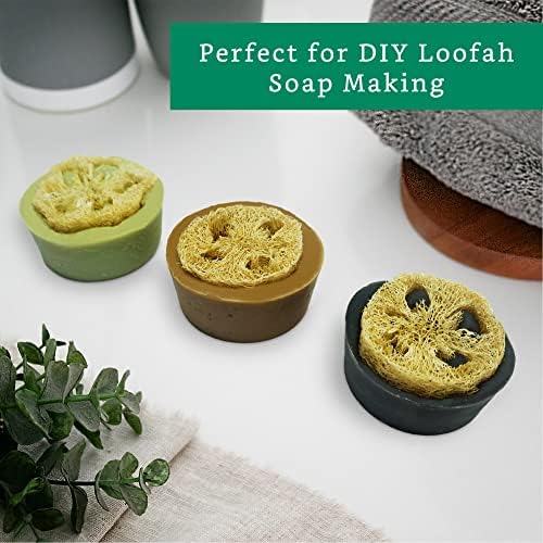 Natural Loofah Slices for Soap Making (20 Pack) - Organic Loufa Cuts - Bulk Luffa - Soap Making Supplies