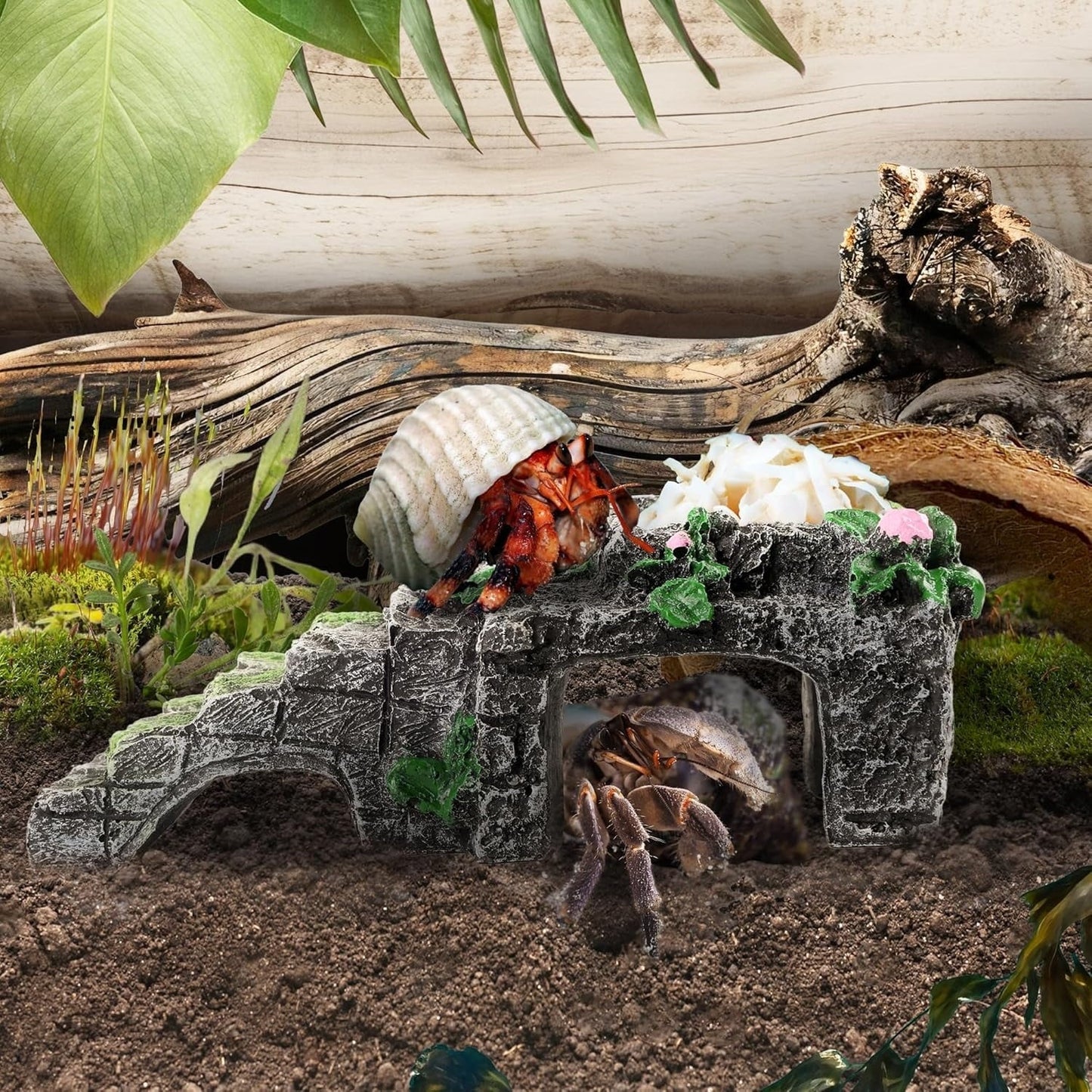 Hermit Crab Climbing Toys with Food Dish,Hermit Crab Water Bowl with Climbing Ramp,Resin Hermit Crabs Hideout,Hermit Crabs Tank Accessories Decor (Grey, 5.11 x2.16 x1.77in)
