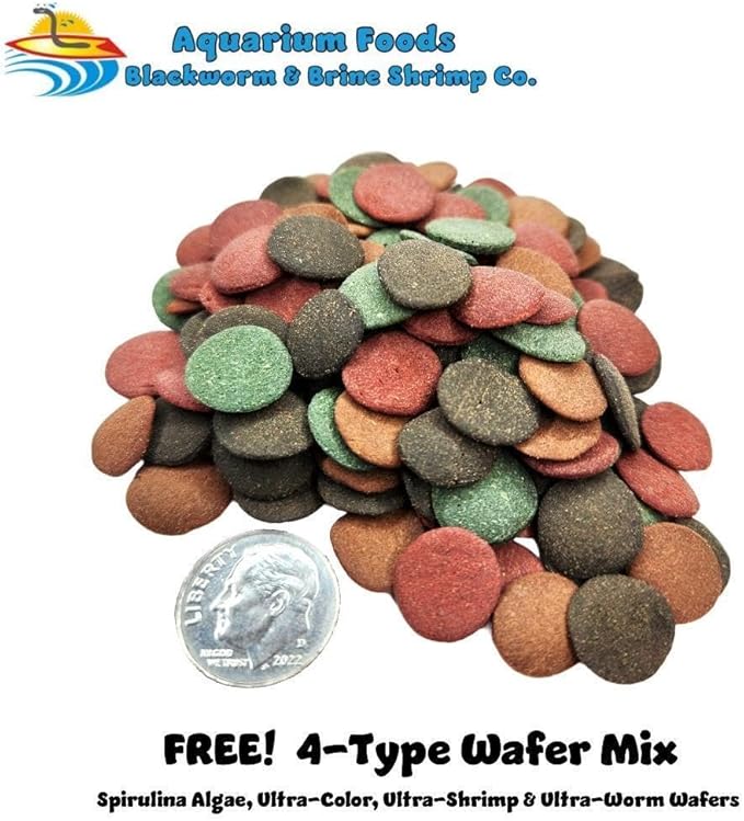 Aquatic Foods Inc. Red River Shrimp - Freeze-Dried 1/2" to 1&1/4" Red River Shrimp for Cichlids, Koi & Pond Fish, Aquatic Turtles, All Community Tropical Fish, Reptiles, Rodents…4.5oz Lg Round Jar