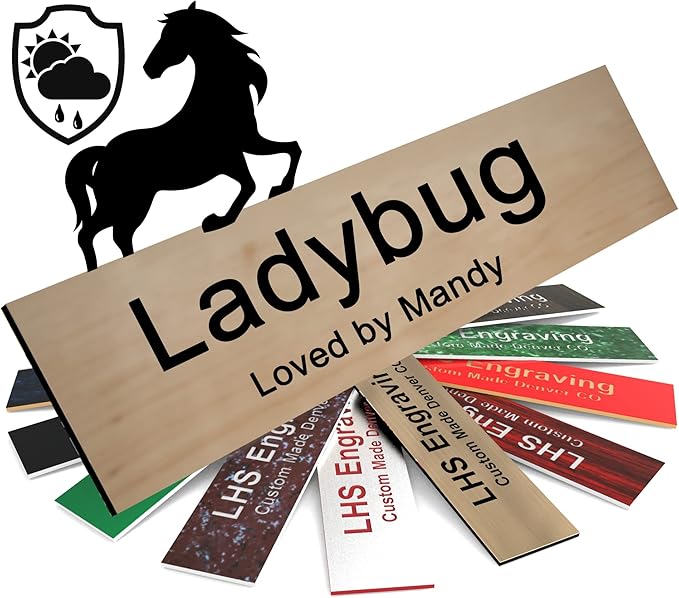 Personalized Horse Stall Name Plates, 2x12 Horse Stall Signs with Adhesive, All Weather UV Protected, Cashew Plastic Black Letters - Made in USA - N6