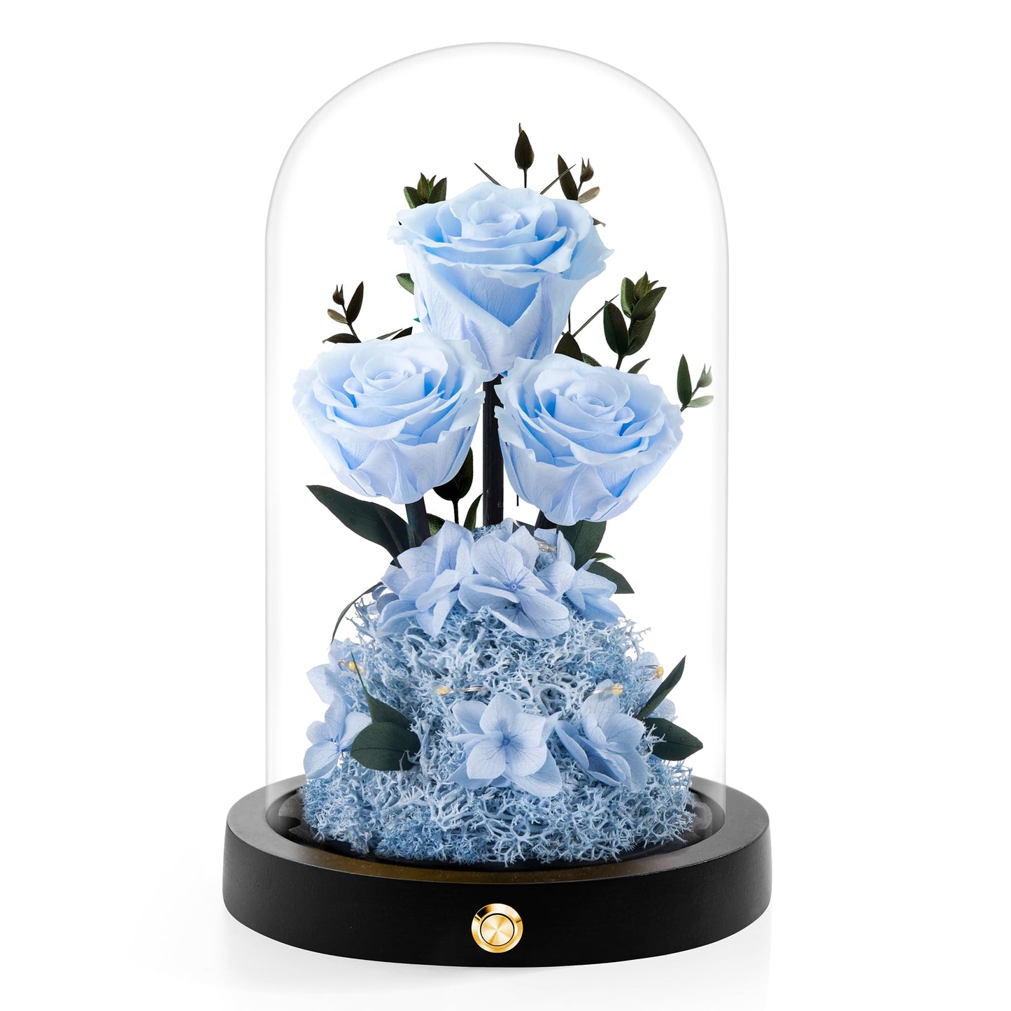 Valentines Day Flowers Roses Gifts for Her,Forever Real Preserved Roses in Glass Dome,Valentines Day Anniversary Birthday Gifts for Wife Girlfriend Women Mom Best Friend Her/Purple Rose