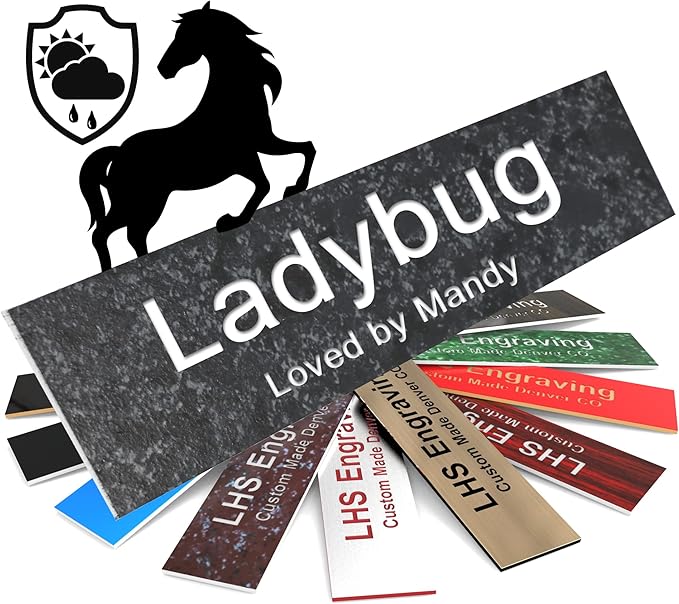 Personalized Horse Stall Name Plates, 2x10 Horse Stall Signs with Adhesive, All Weather UV Protected, Mojave Plastic White Letters - Made in USA - N8