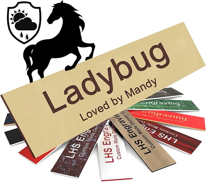 Personalized Horse Stall Name Plates, 2x12 Horse Stall Signs with Adhesive, All Weather UV Protected, Ivory Plastic with Brown Letters - Made in USA - B5
