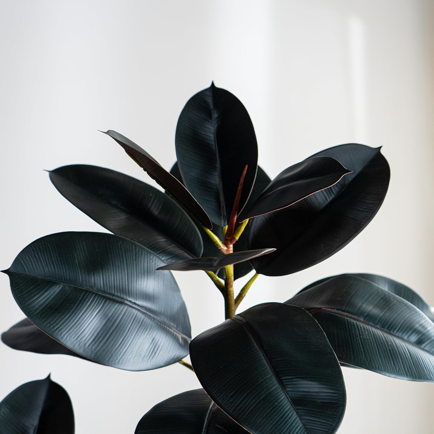 Bailikang 5.2ft Artificial Rubber Tree Faux Plants Indoor Faux Floor Artificial Trees Indoor,Fake Plant Fake Tropical Plants,Large Floor,Real Touch Rubber Tree for Home Decor