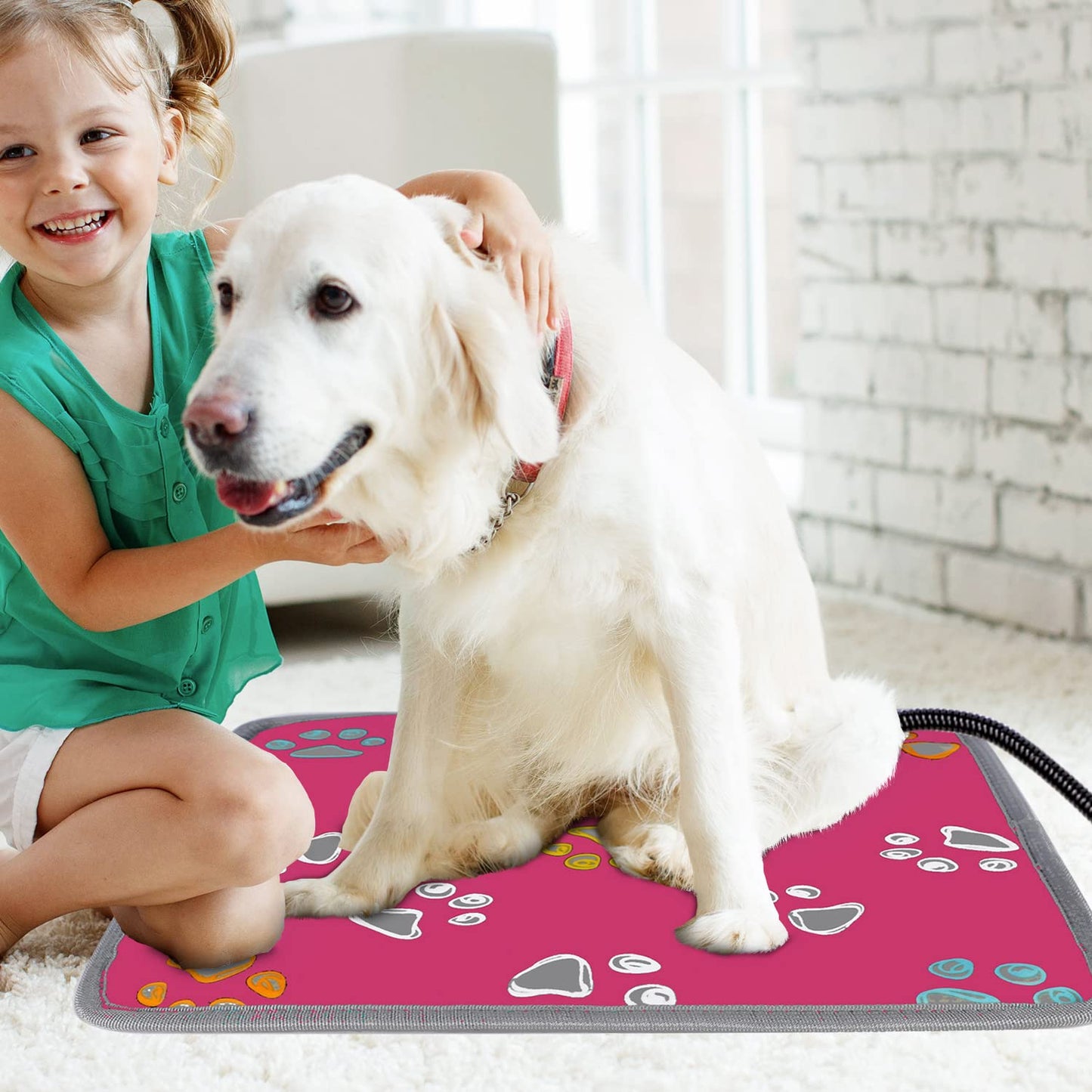 furrybaby Pet Heating Pad, Waterproof Dog Heating Pad Mat for Cat with Durable Anti-Bite Tube Indoor for Puppies Dogs Cats (1 Pack Black, 17 X 17in, Temp Adjustable)