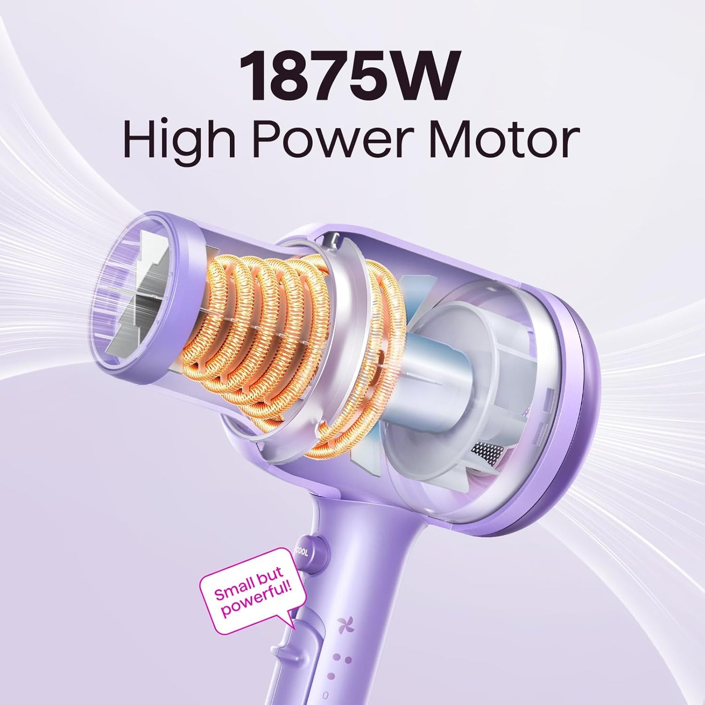 Wavytalk 1875W Ionic Hair Dryer | Diffuser & Comb for Curly Hair | Black