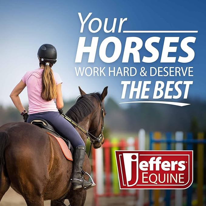 Jeffers Horse Fleece Polo Wraps 4 Pack and Equine Health Record 1 Pack Kit – Leg Wrap Accessories for Training Riding Turnout Stable, Hoof Care Tracker, Equestrian Horse Supplies - Hunter Green