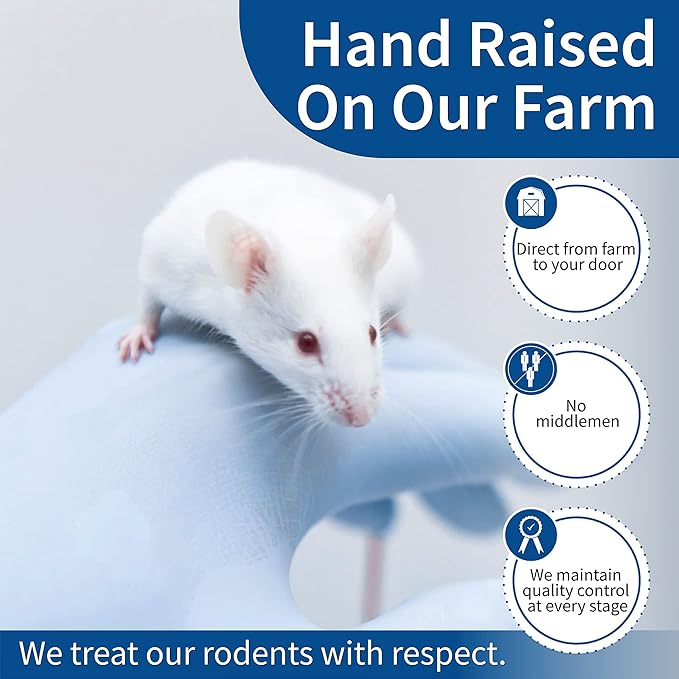 MiceDirect EST. 2003 50 Frozen Mice Small Fuzzie Feeders Snake Food for Juvenile Hognose Corn Milk (.5-1 in) (150 Grams Min)
