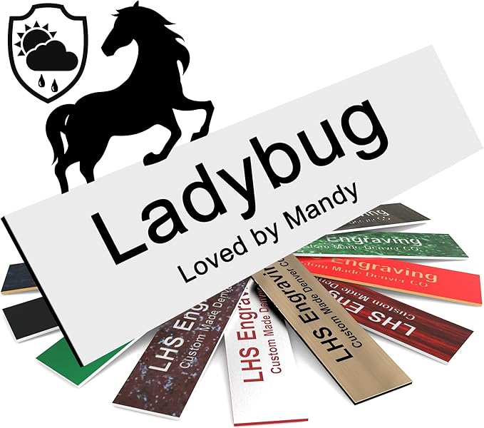 Personalized Horse Stall Name Plates, 2x6 Horse Stall Signs with Adhesive, All Weather UV Protected, White Plastic Black Letters - Made in USA - B16