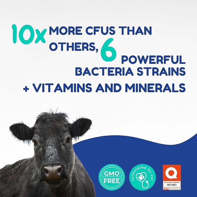 Ruminants Pre and Probiotic Paste (30 Pack, 80g Each)- with Vitamins and Minerals- 6 Strains and 8 Billion CFU- Immune and Gastro Health Support for All Ruminants: Bovines, Goats & More