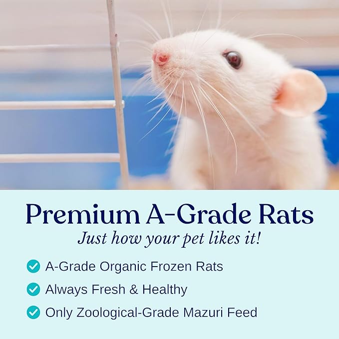 MiceDirect 50 Frozen Rat Fuzzies Feeders Snake Food for Adult Corn Snakes Ball Pythons (2-2.5 in)(Pack of 50)(450 Grams Min)