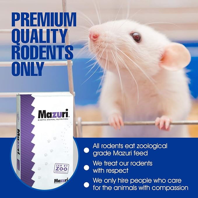 MiceDirect EST. 2003 40 Frozen Mice Combo Pack of 20 Small Fuzzies and Fuzzies Feeders Snake Food for Corn Snakes Ball Pythons Lizards (.5-1.5 in)(140 Grams Min)