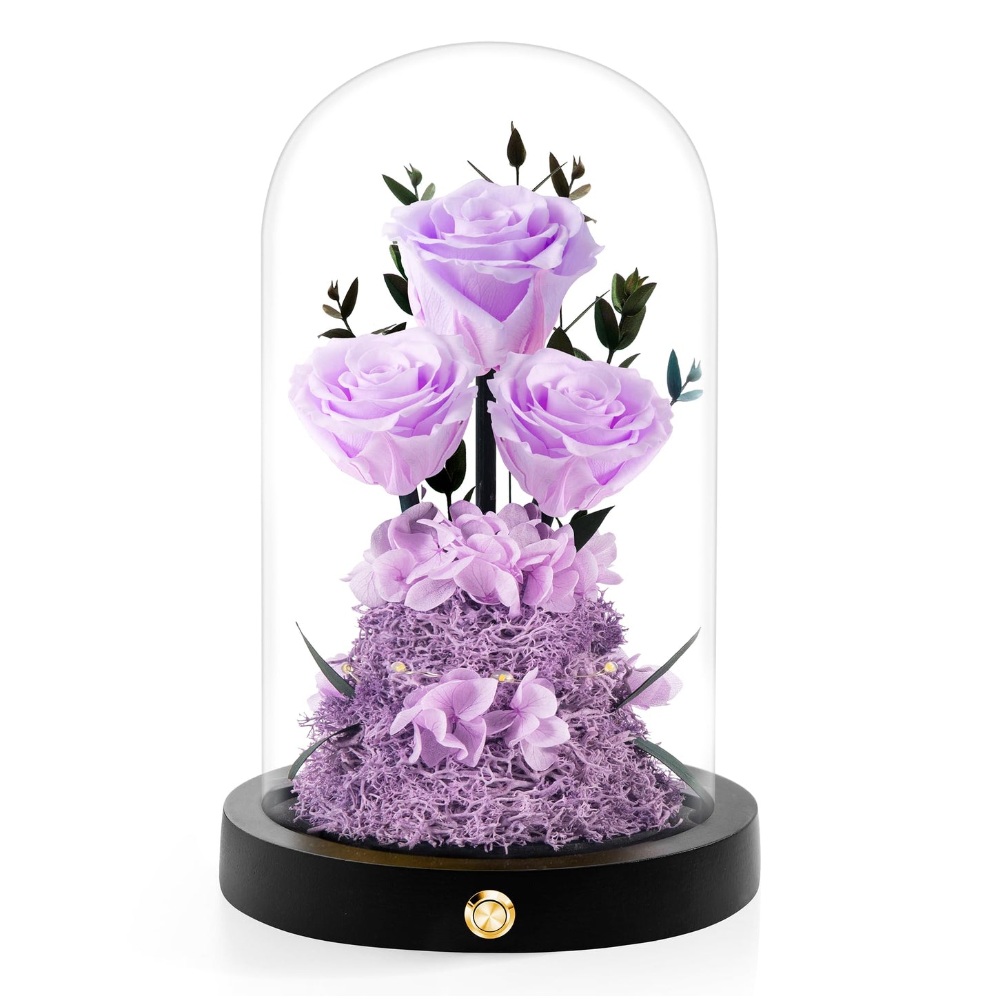 Valentines Day Flowers Roses Gifts for Her,Forever Real Preserved Roses in Glass Dome,Valentines Day Anniversary Birthday Gifts for Wife Girlfriend Women Mom Best Friend Her/Purple Rose