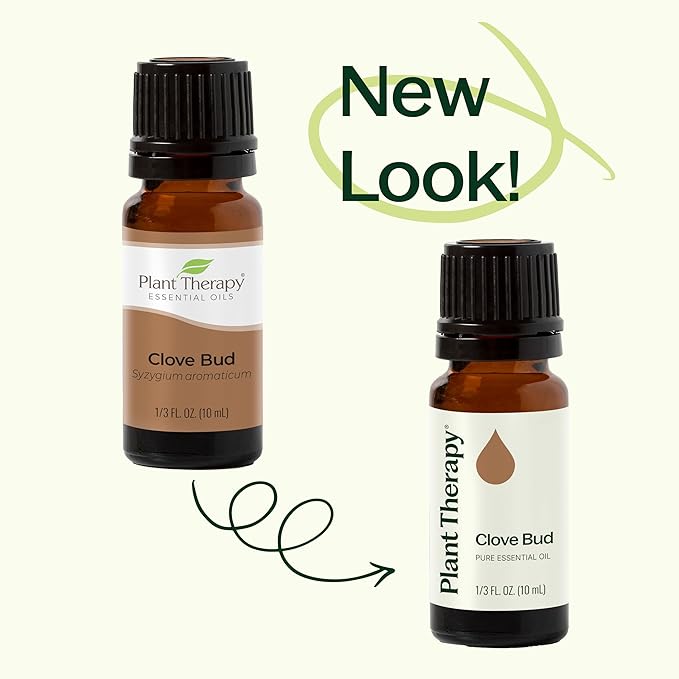 Plant Therapy Clove Bud Essential Oil 100% Pure, Undiluted, Natural Aromatherapy, Therapeutic Grade 30 ml (1 oz)