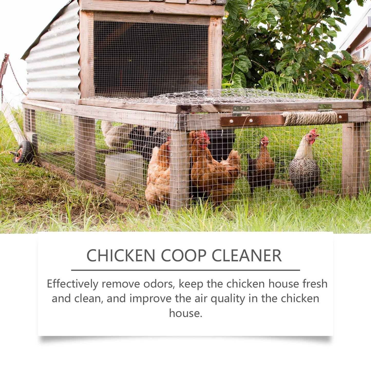 HOZONEX Chicken Coop Cleaner
