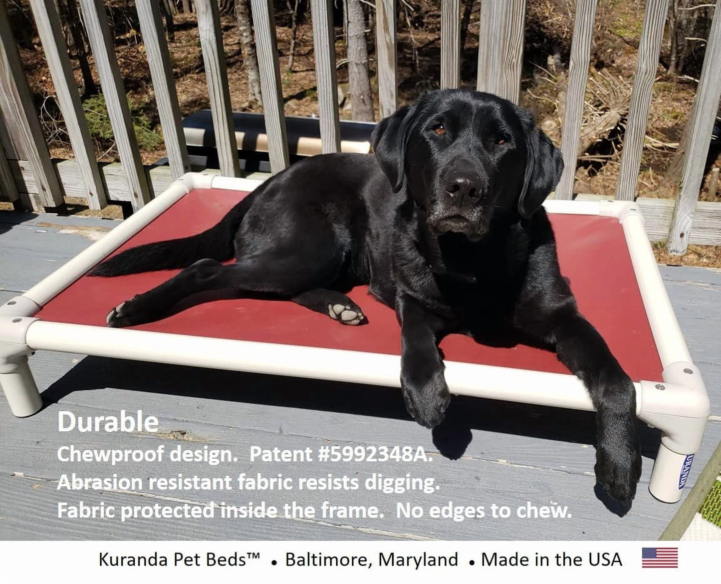Chewproof Heavy Duty Dog Bed 25x18 Inches for Large Dogs, Rip Proof Vinyl Fabric, Scratch Resistant, Almond PVC Frame, Royal Blue