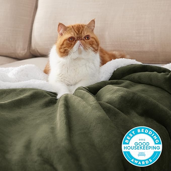Bedsure Sherpa Fleece Throw Blanket Twin Size for Couch - Thick and Warm, Soft Fuzzy Plush Twin Blanket for Winter, Olive Green, 60x80 Inches