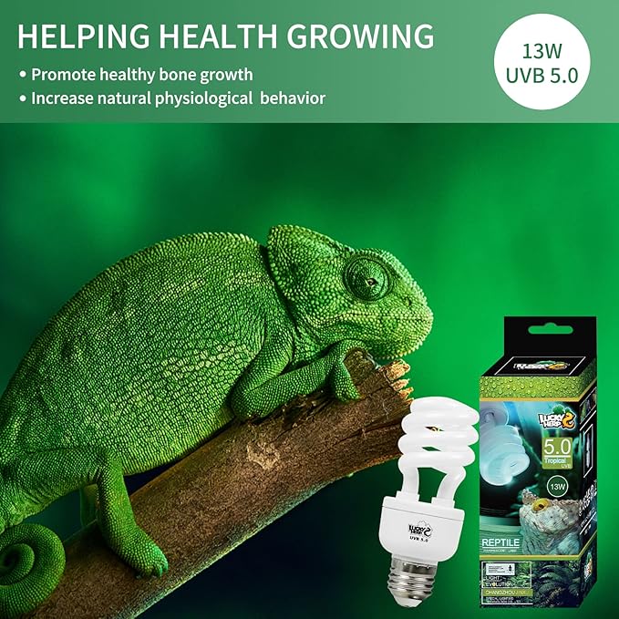LUCKY HERP Reptile UVA UVB Light 5.0 13W Compact Fluorescent Tropical Terrarium Lamp