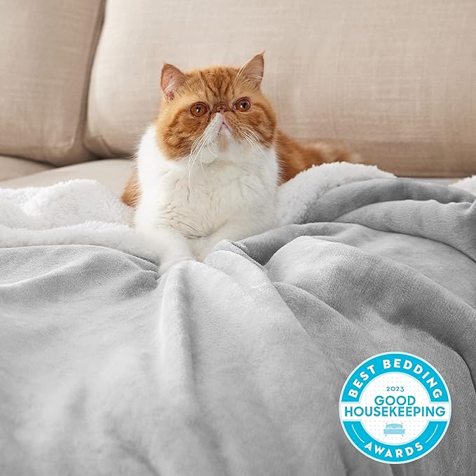 Bedsure Sherpa Fleece Blankets Queen Size for Bed - Thick and Warm, Soft Fuzzy Plush Queen Blanket for Winter, Light Grey, 90x90 Inches