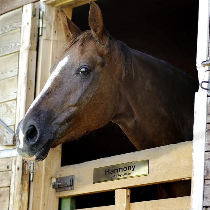 Personalized Horse Stall Name Plates, 2x8 Horse Stall Signs with Adhesive, All Weather UV Protected, Stone Granite Pattern Plastic Black Letters - Made in USA - S3